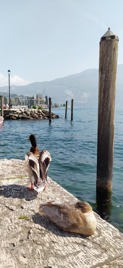 Riva Del Garda Nest Appartamento Esterno foto